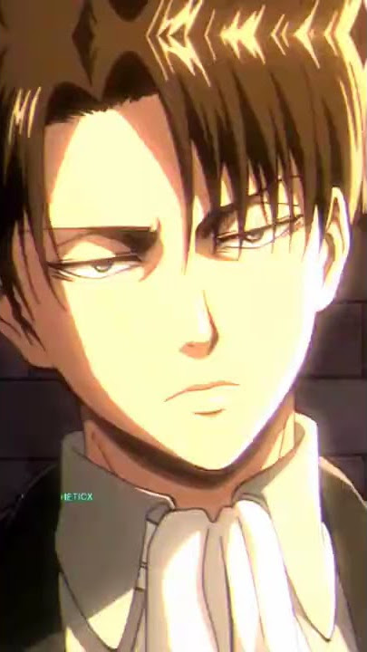 Ccp Levi Ackerman(Attack On Titan)(Part #08)