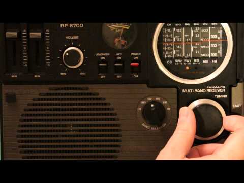 Sanyo RP 8700.