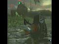 New clip glitch in Breath of the Wild ?!