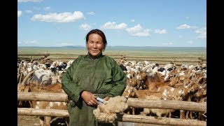 Al hilo del Mundo - Mongolia
