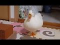 おネムになってあくびするコールダックzzz My Call Duck Yawning 【小さいあひるのブッチー】