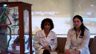 Healthcare for Exotic Pets according to stage of life