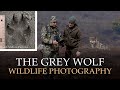 SEARCHING FOR THE GREY WOLF - feat.  Professional Tracker- Wildlife Vlog