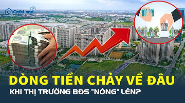 Dòng tiền đang CHẢY VỀ ĐÂU khi thị trường bất động sản “NÓNG” lên?
