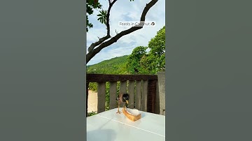 Adorable Bird Feasts on Coconut – You Won