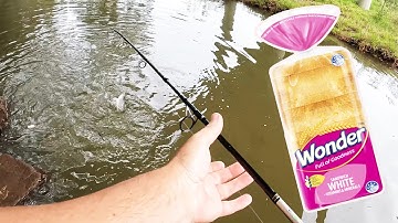 Catching Mullet On Rod And Reel + BREAD + BRIDGE WHAT A FRENZY!