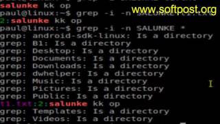 grep command examples in Linux
