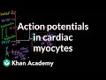 Action potentials in cardiac myocytes | Circulatory system physiology | NCLEX-RN | Khan Academy