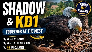 Shadow & KD1 Together at the Big Bear Eagle Nest! What We KNOW — Without the Speculation