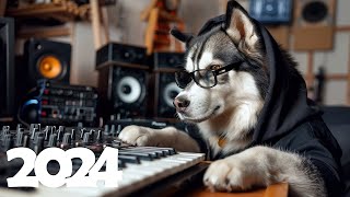 Music Mix 2024 🎧 EDM Mix of Popular Songs 🎧 EDM Gaming Music