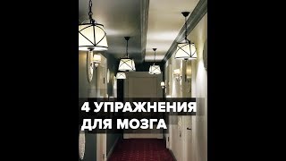 4 упражнения для мозга. 23 минуты, мозг и сон, умственная жвачка и факт-карты, А.В. Курпатов