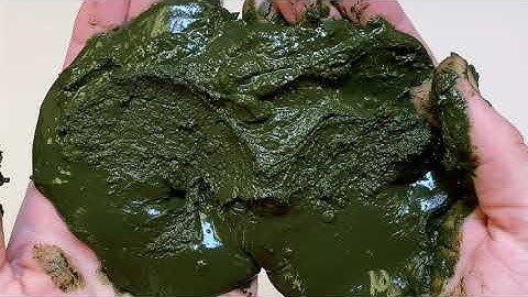 From Algae to Shoes | Algae Material Stages