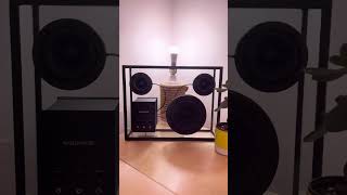 Can't get any cleaner than these! #speaker #teenageengineering #ob4 #transparentspeaker #shorts