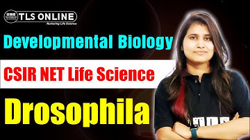 Unit-5 Developmental Biology I Drosophila I CSIR NET Life Sciences | Shruti Shukla |