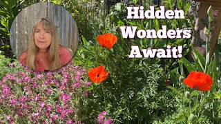 Secret Cottage Garden Tour | Amazing Flowers and Progress