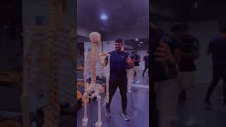 How many bones in human body? كم عظمة في جسم الإنسان ؟