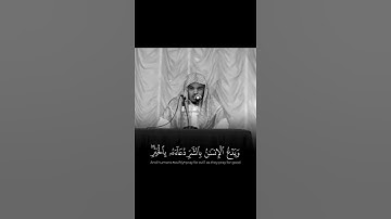 القارئ ياسر الدوسري تلاوة نادره جميلة ❤️🎧. #explore