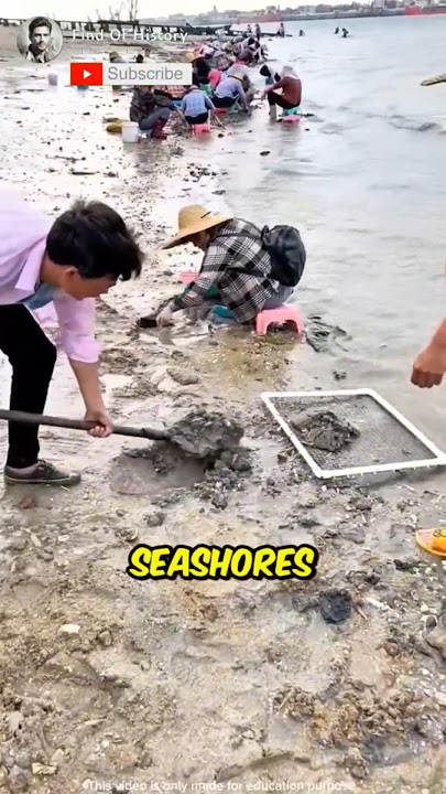 🔥 China_seashore 😱