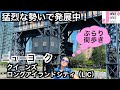 【ニューヨーク】ぶらり街歩き　クイーンズ・ロングアイランドシティ（LIC）