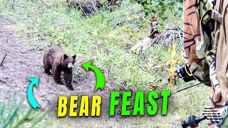 Bear Family Feasting on a Fresh Catch Filmed Up-Close