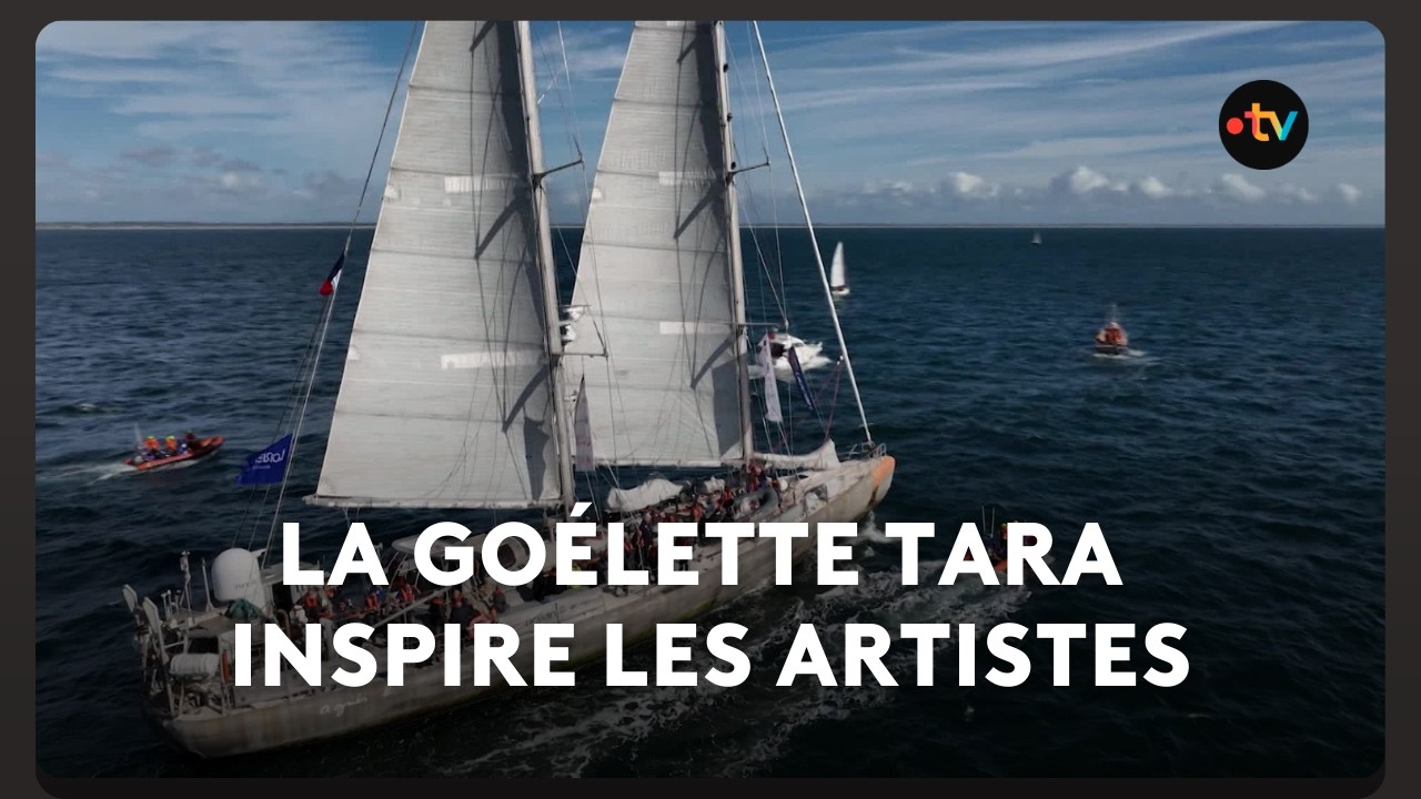 Ces artistes profitent de la goélette Tara pour créer des œuvres autour de l’océan