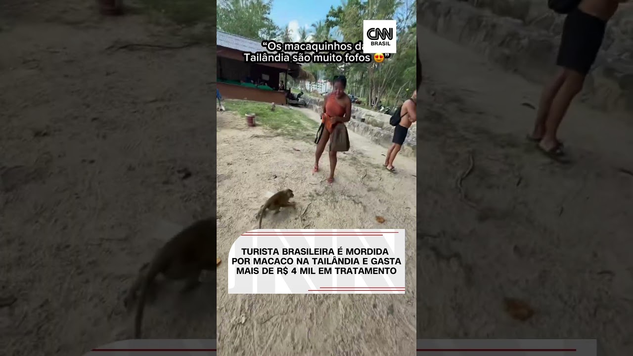 Turista brasileira é mordida por macaco na Tailândia e gasta mais de R$ 4 mil em tratamento #shorts