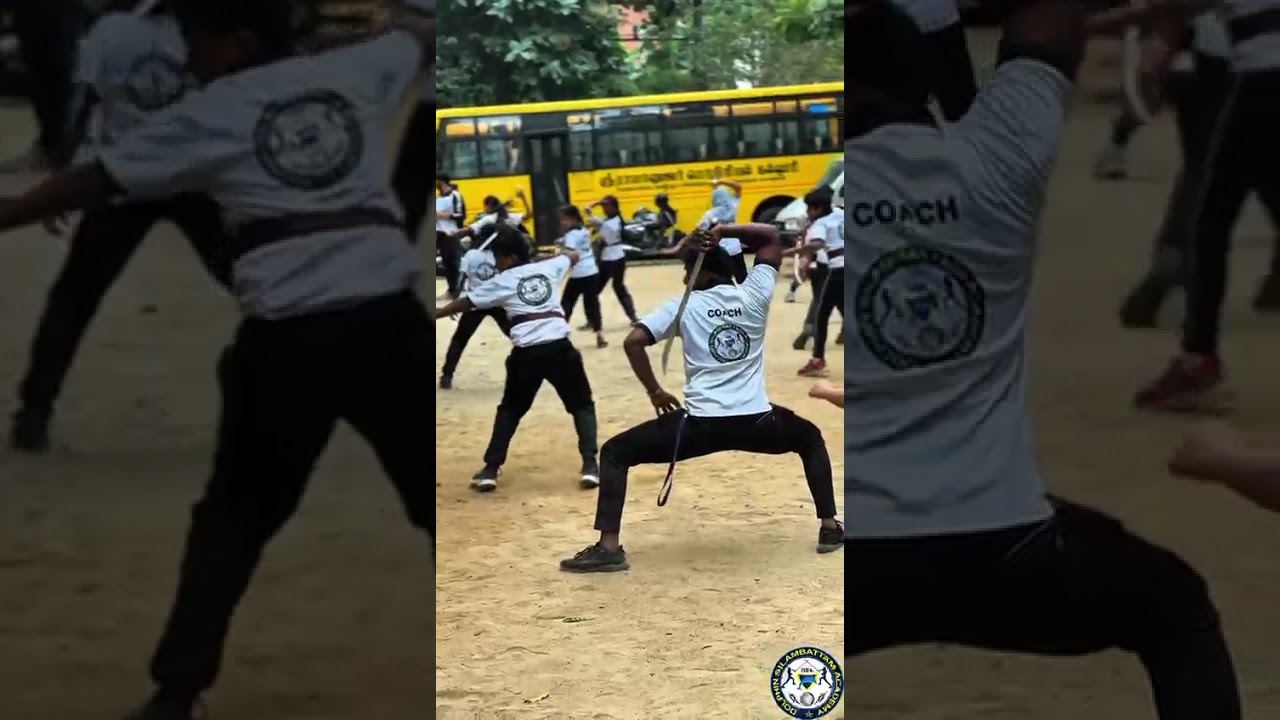 Dolphin Silambattam Academy