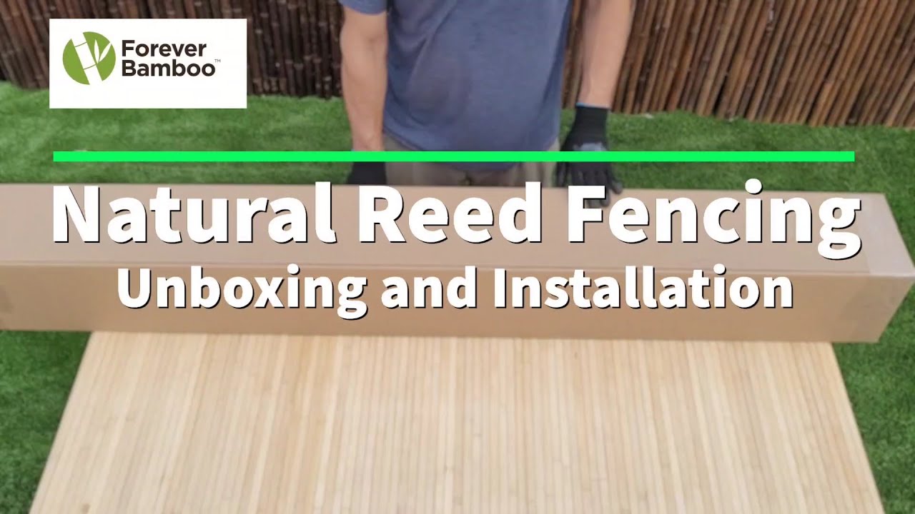 FOREVER BAMBOO Natural Reed Fencing - Unboxing & Installation