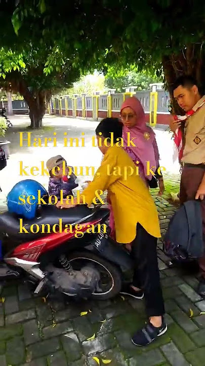 Cinderela ambil raport #khitanmodernwonogiri #berkebundirumah