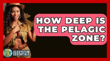 How Deep Is The Pelagic Zone? - Ecosystem Essentials
