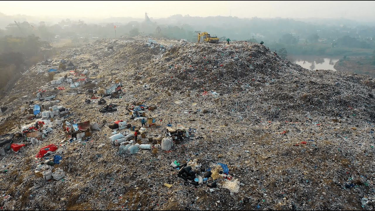 "The Pile" Tomfoolery x Ecoalf (Español)