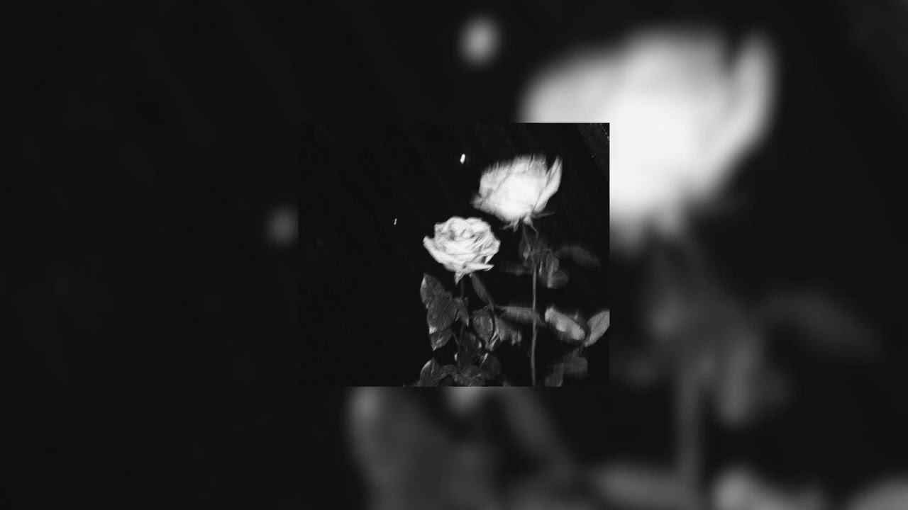 I miss you, I'm sorry - Gracie Abrams (Sped up)