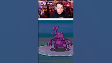 FULL ODDS HEADBUTT SHINY HERACROSS! Best Reaction Ever! #Shorts