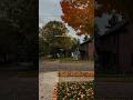 Can’t wait for Falloween 🎃🍁 #fallseason #halloweenseason #spookyseason #fallvibes #halloween