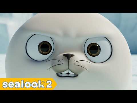 Why Is He So Angry? | SEALOOK Compilation