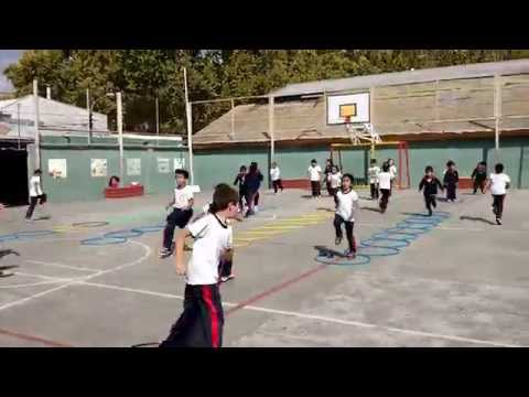 Video: ¿Cómo desarrolla la educación física a una persona total?