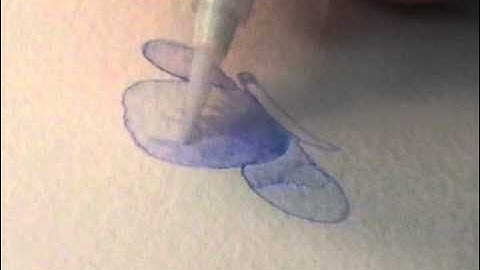 ZIG Art and Graphic Twin Episode 2