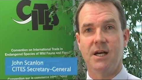 Thirty-fifth anniversary of CITES