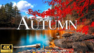 AUTUMN 4K ULTRA HD • Scenic Relaxation Film with Peaceful Relaxing Music & Nature Video Ultra HD