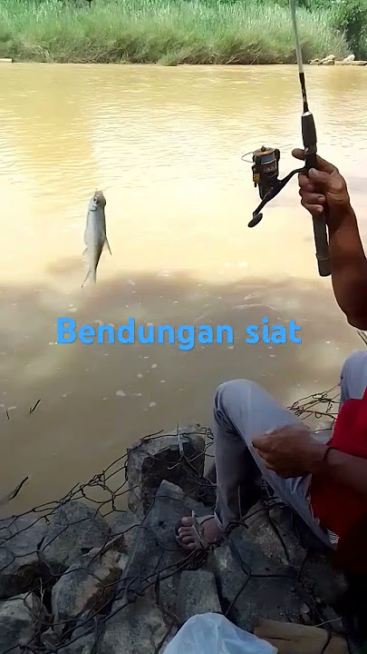 LAMPAM #religion #fishing #malaysia #taipei #mancing #music #dj #remix #coversong
