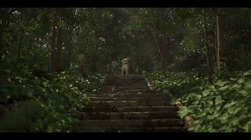 Forest Staircase - Unreal Engine 5 Cinematic