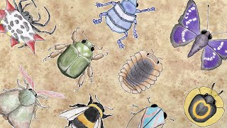 music for bugs  full album