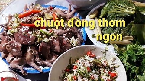 Biển Nguyễn ngọc | Bẫy Chuột.Thit Chuột Đồng Thơm Ngon Béo Ngậy.