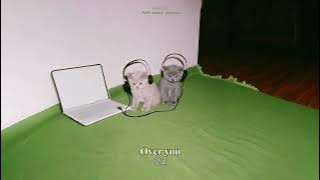 Download lagu 🎵 넌 날 새롭게 할 사람이야 (Brand New - Public Library Commute / 가사해석)