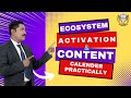 Ecosystem Activation & Content Calender Practically