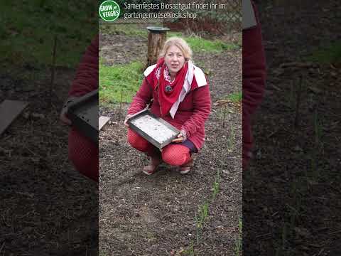 Video: Haferflocken-Schädlingsbekämpfung und Dünger – Ideen für die Verwendung von Haferflocken im Garten