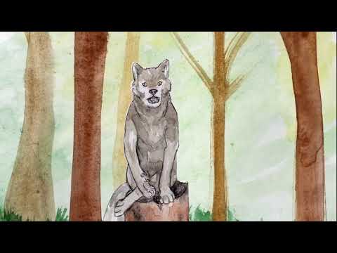 Caperucita contada por el lobo: una versión sorprendente
