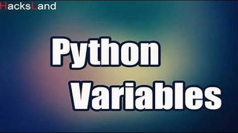 Lesson 4: Understanding Python Variables