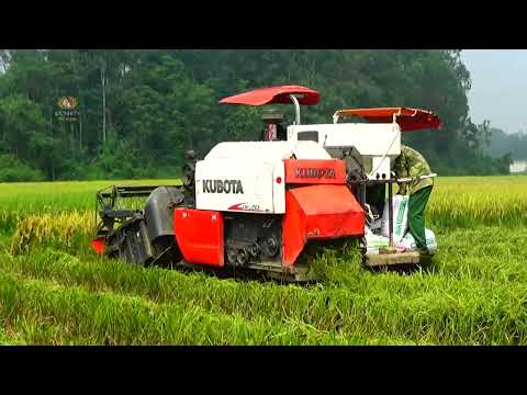 Video Máy gặt đập liên hợp KUBOTA Dc 70 máy gặt đập Kubota... - youtube