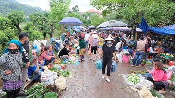 Mộc mạc chợ phiên Tây Bắc bán nhiều đặc sản & thảo dược quý | Vùng núi tây bắc